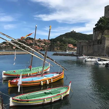Les Chenes-lieges D'ambeille Lejlighed Collioure