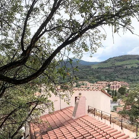 Les Chenes-lieges D'ambeille *