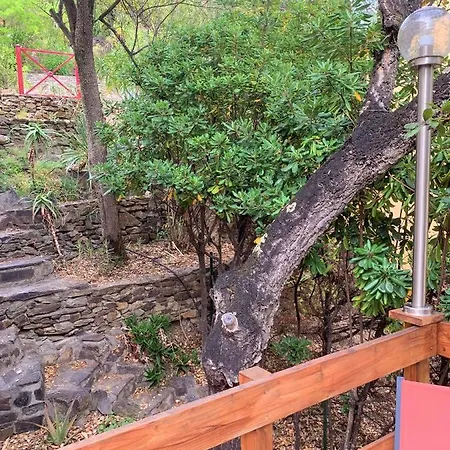 Les Chenes-lieges D'ambeille *