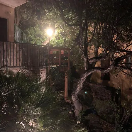 Les Chenes-lieges D'ambeille *