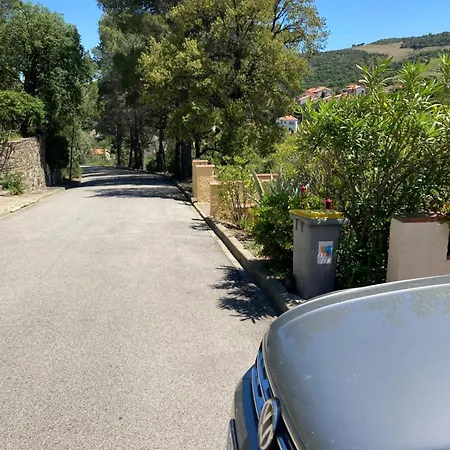 Les Chenes-lieges D'ambeille * Collioure